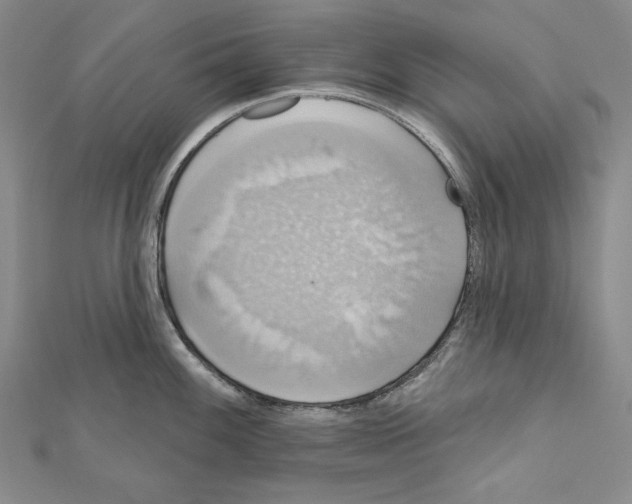 X0000111591100200908271004