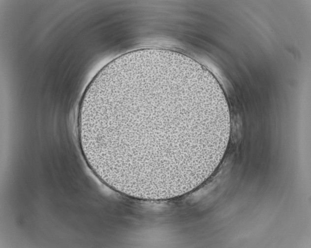 X0000111591103200908271004