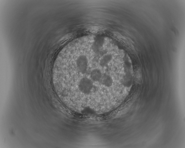 X0000111591105200908271003