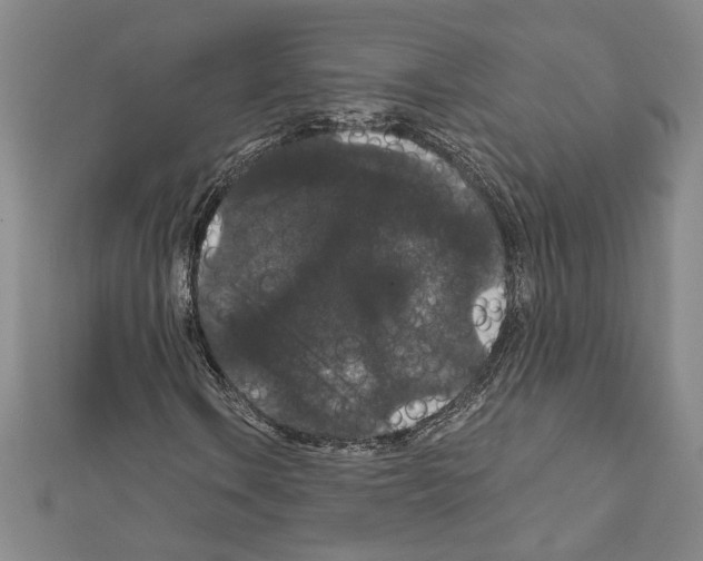X0000111591106200908271003