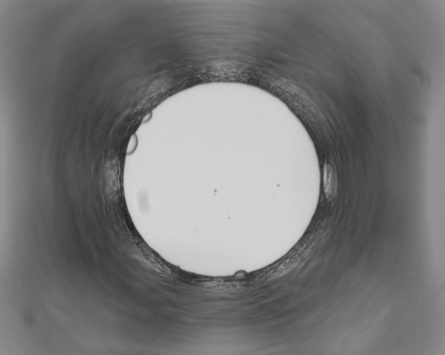 X0000111591107200908271003