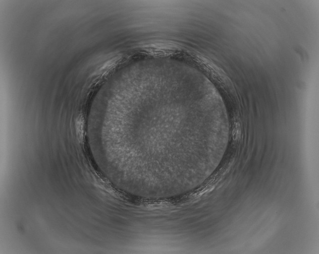 X0000111591108200908271003