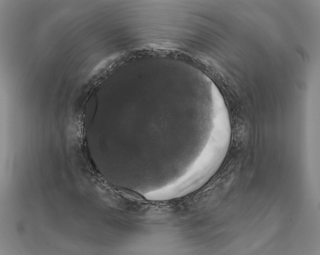 X0000111591110200908271003