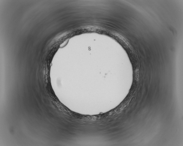 X0000111591111200908271003