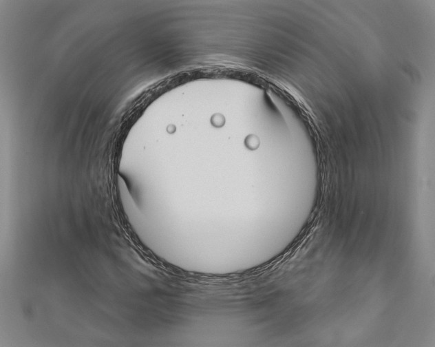 X0000111591112200908271003