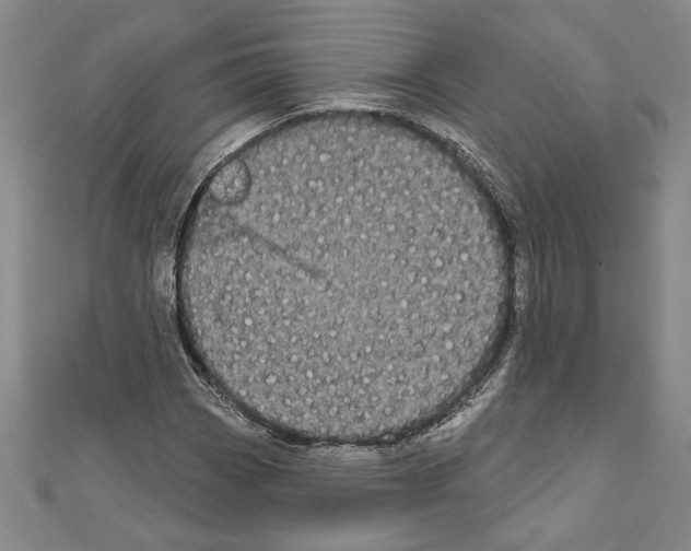 X0000111591113200908271003