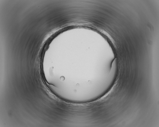 X0000111591114200908271003