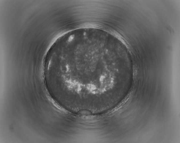 X0000111591116200908271003
