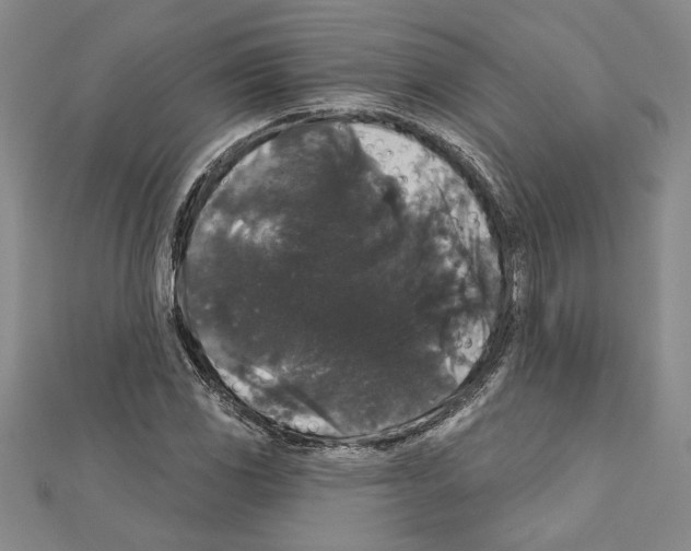X0000111591117200908271003