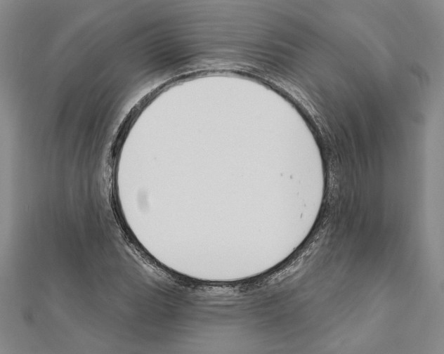 X0000111591119200908271003