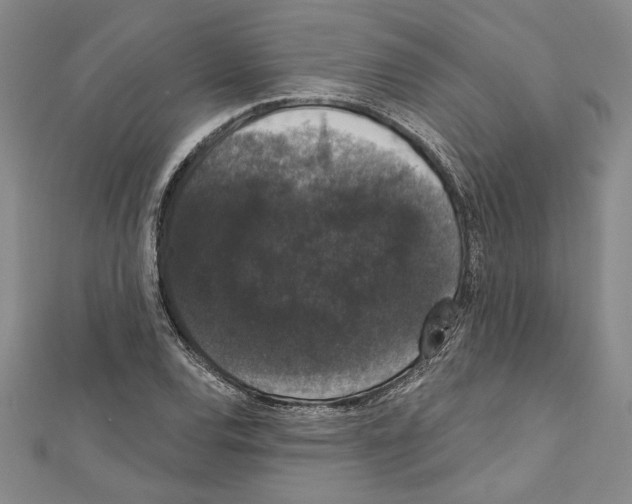 X0000111591120200908271003