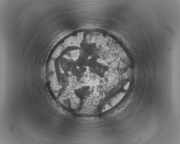 X0000111591121200908271003