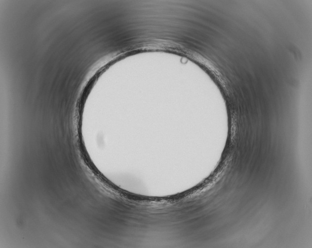 X0000111591122200908271003