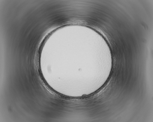 X0000111591123200908271003