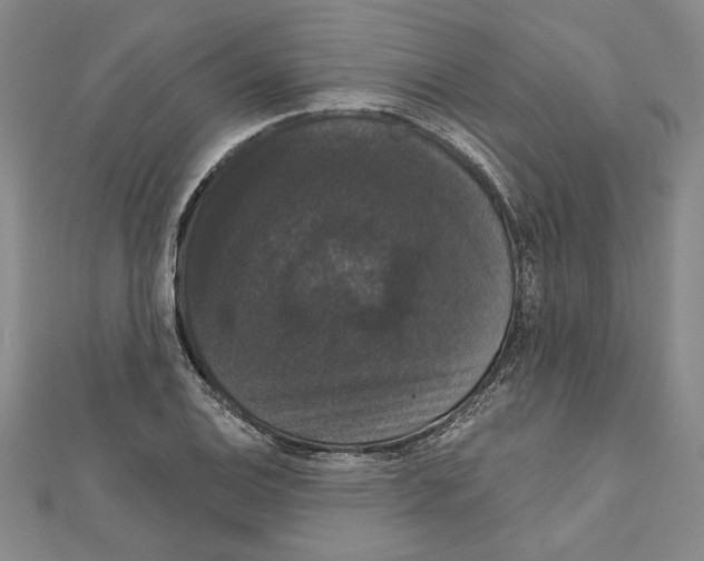 X0000111591124200908271003