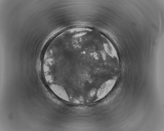 X0000111591125200908271003