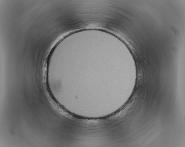 X0000111591126200908271003