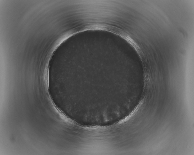 X0000111591127200908271003