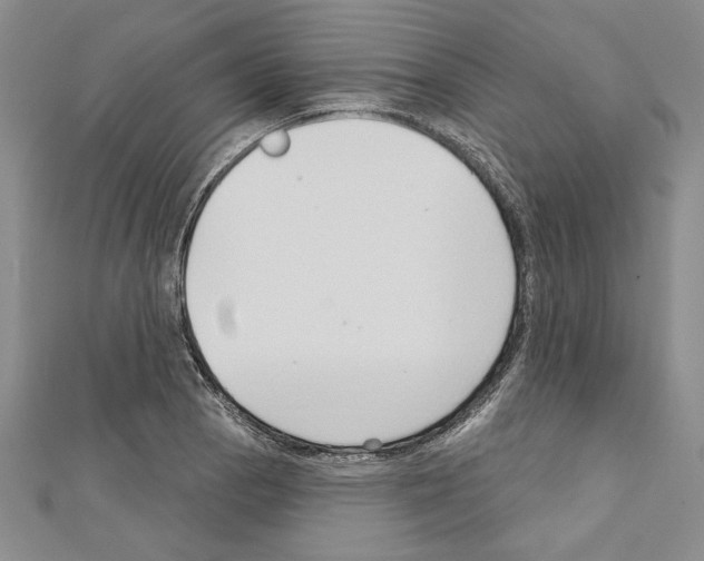 X0000111591129200908271003