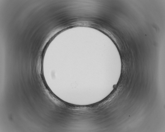 X0000111591131200908271004