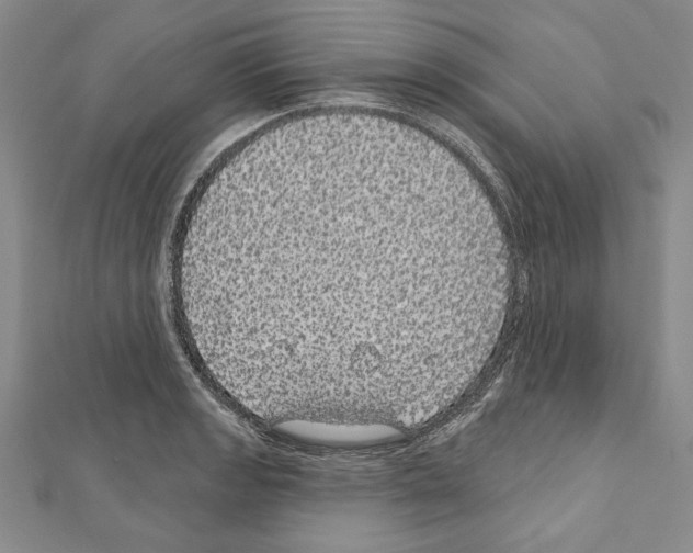 X0000111591133200908271004