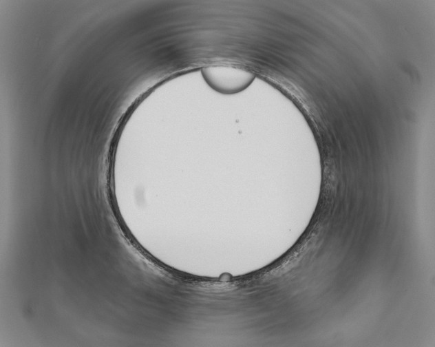 X0000111591135200908271004