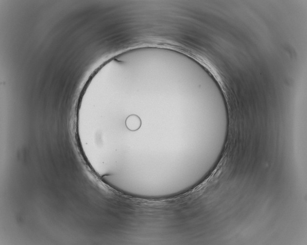 X0000111591136200908271004