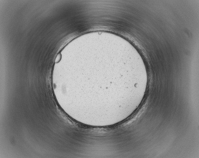 X0000111591137200908271004
