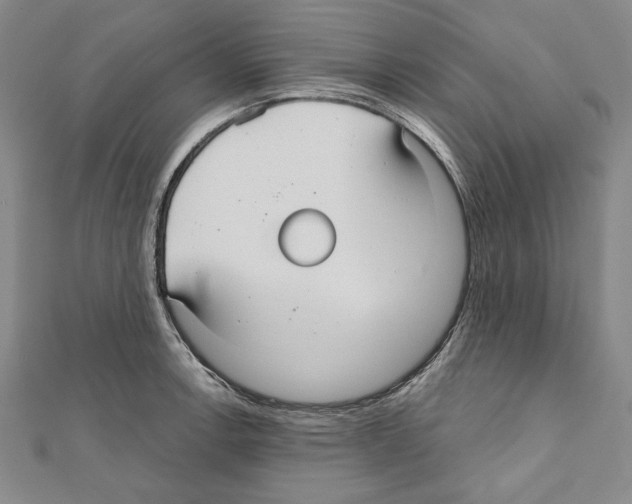 X0000111591138200908271004