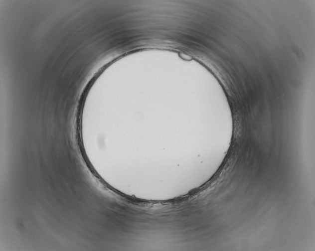 X0000111591139200908271004