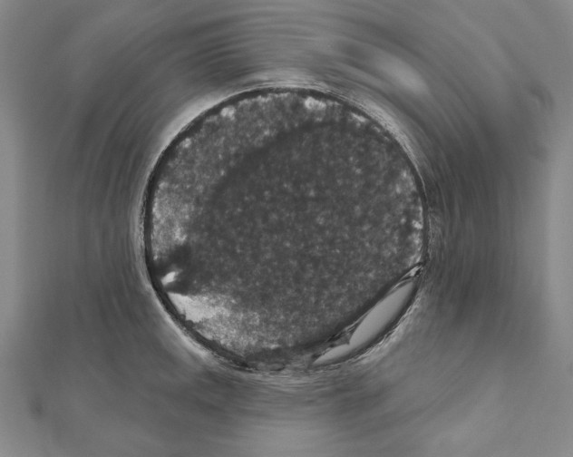 X0000111591141200908271004