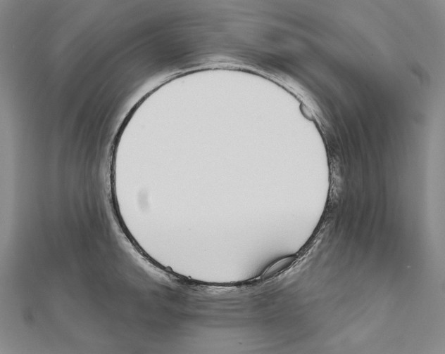 X0000111591142200908271004