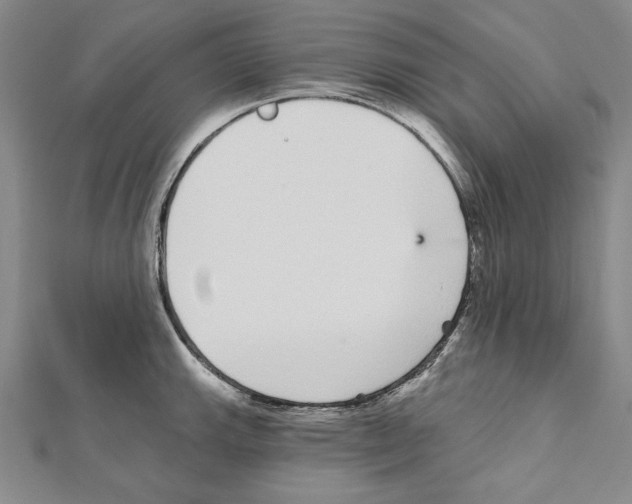X0000111591143200908271004