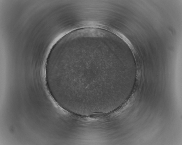 X0000111591144200908271004