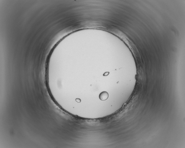 X0000111591147200908271004