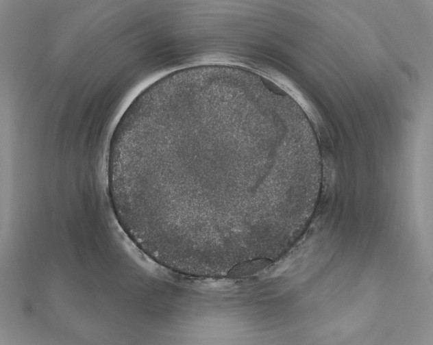 X0000111591148200908271004