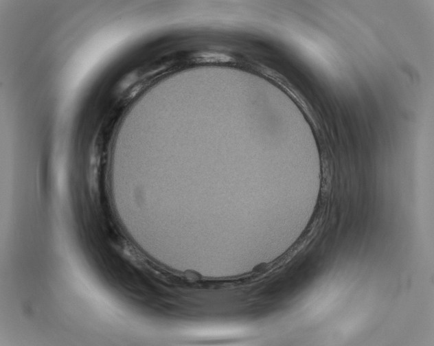 X0000111591151200908271004