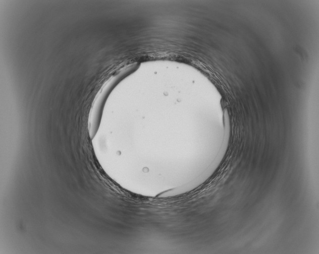 X0000111591153200908271003