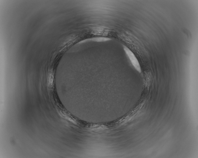 X0000111591154200908271003
