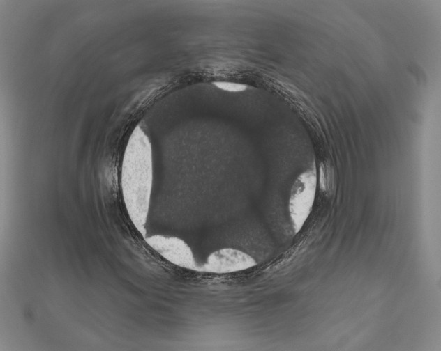 X0000111591155200908271003