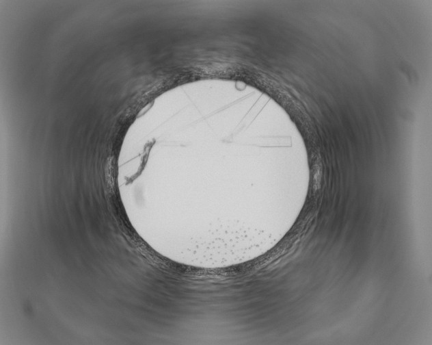 X0000111591156200908271003