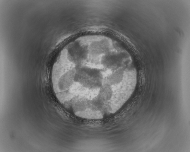 X0000111591158200908271003
