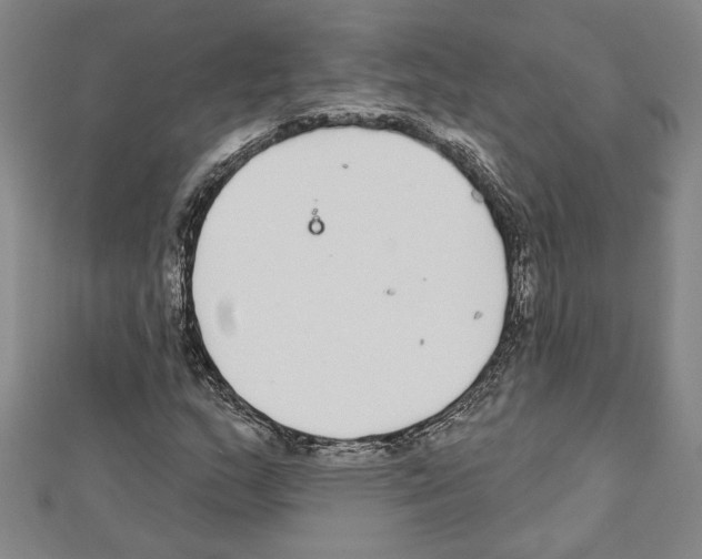 X0000111591159200908271003
