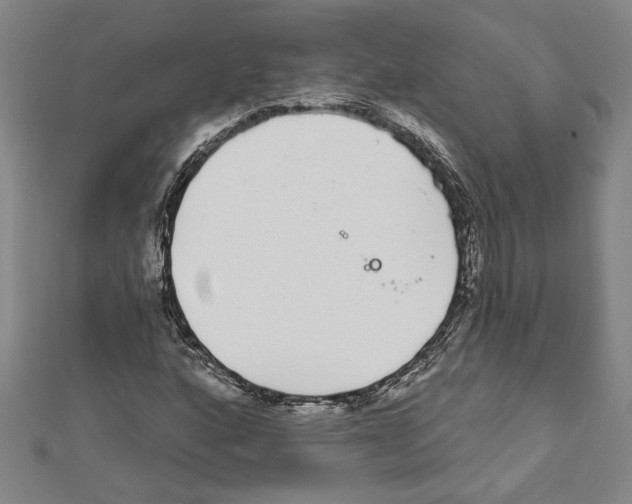 X0000111591160200908271003
