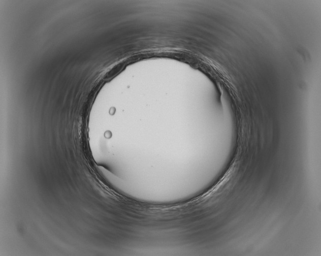 X0000111591161200908271003