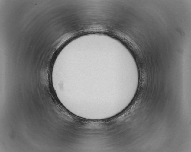 X0000111591162200908271003