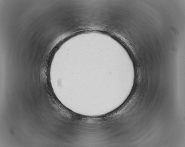 X0000111591163200908271003