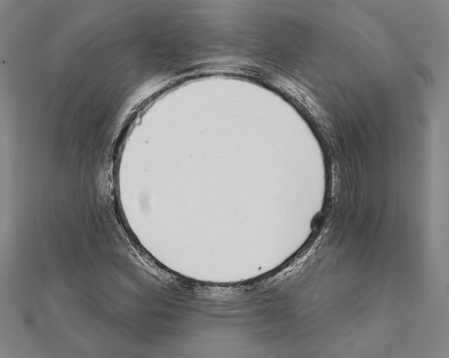 X0000111591164200908271003