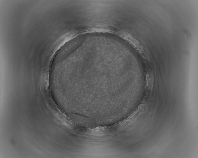 X0000111591165200908271003
