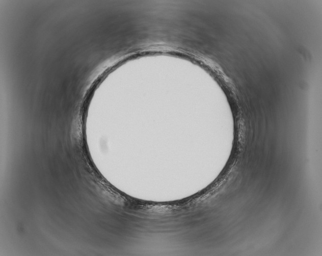 X0000111591167200908271003